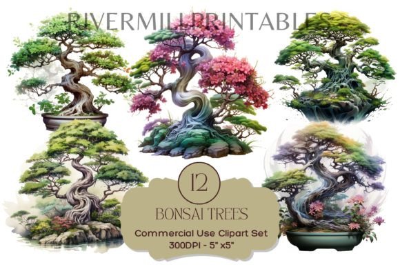 12 Bonsai Miniature Trees Clipart Set