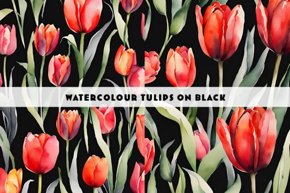 Tulips on a Black Background Watercolour: A Practical Evaluation