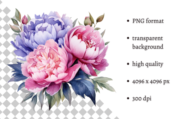 Watercolor Bouquet of Pink Peonies PNG