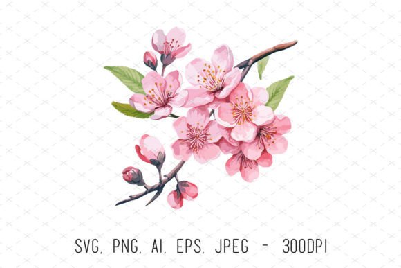 Watercolor Cherry Blossom Flower Clipart