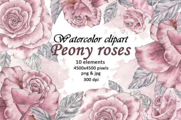 Watercolor Peony Flowers Vintage Clipart: A Strategic Asset for Visual Branding