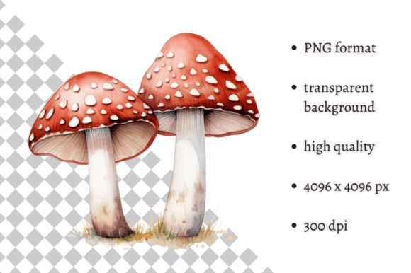Watercolor Wild Mushrooms Clipart